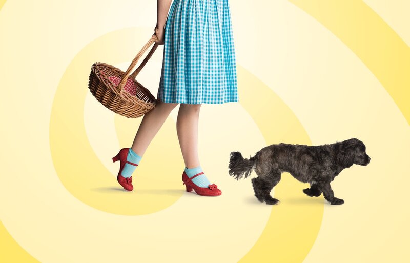 The Wizard of Oz: artists/performers tba @ Gateway Theatre Dec 10 2015 - May 9th @ Gateway Theatre