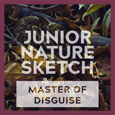 Junior Nature Sketch: Masters of Disguise - May 6th @ Bateman Gallery