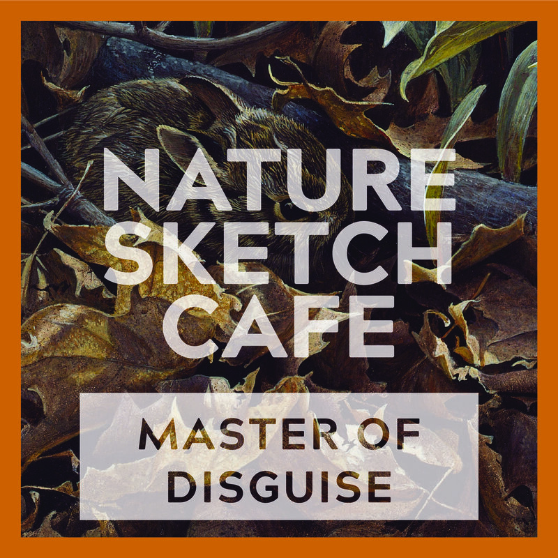 Nature Sketch Cafe: The Camouflage Cafe - Jun 4th @ Online