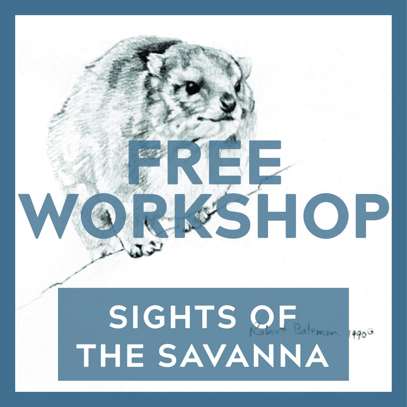 Free Workshop: Sights of the Savanna &ndash; Hi Hyrax! - Jun 11th @ Online