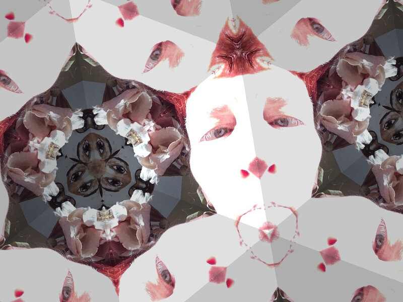 Microfauna: An Exhibition by: Trace Nelson @ Xchanges Gallery Feb 3 2017 - Jun 18th @ Xchanges Gallery