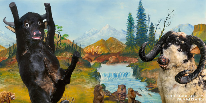 Found Landscapes: Interventions in Nature @ the fifty fifty arts collective Jul 29 2010 - Jun 15th @ the fifty fifty arts collective
