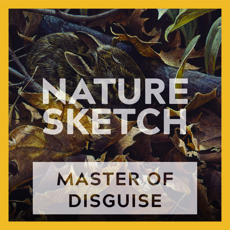 Nature Sketch: Master of Disguise - May 6th @ Online