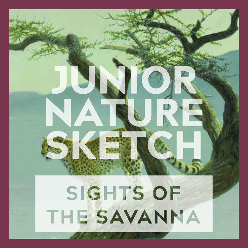 Junior Nature Sketch: Sights of the Savanna - May 7th @ Online