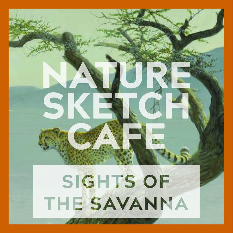 Nature Sketch Cafe: The Savanna Cafe - May 7th @ Online