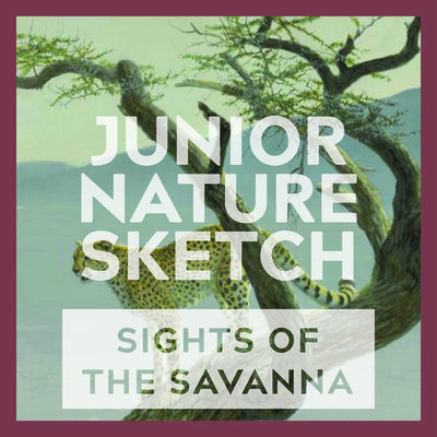 Junior Nature Sketch: Sights of the Savanna - May 12th @ Online
