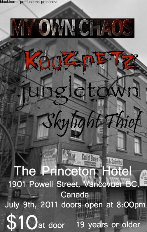 Jungle Town, Kooznetz, Skylight Thief @ Princeton Pub Jul 9 2011 - Jun 27th @ Princeton Pub