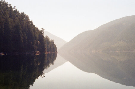 Untitled by 
Ryan Watson