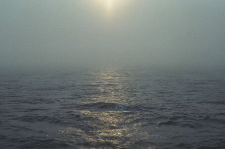 Untitled by 
Ryan Watson