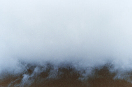 Untitled by 
Ryan Watson