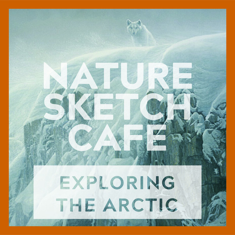 Nature Sketch: The Tundra Cafe - Jun 3rd @ Online
