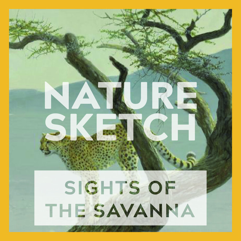 Nature Sketch: Sights of the Savanna - May 6th @ Online