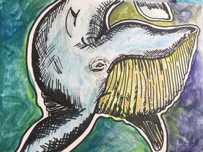 Wally the Whale by 
Shannon Holms
