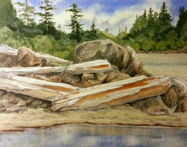 MacKenzie Beach Driftwood by 
Catherine Taron