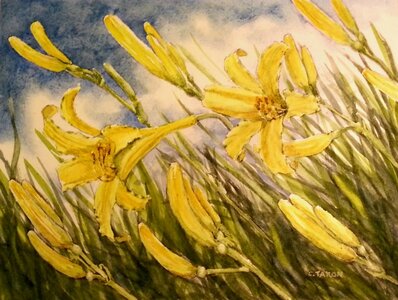 Breeze by 
Catherine Taron