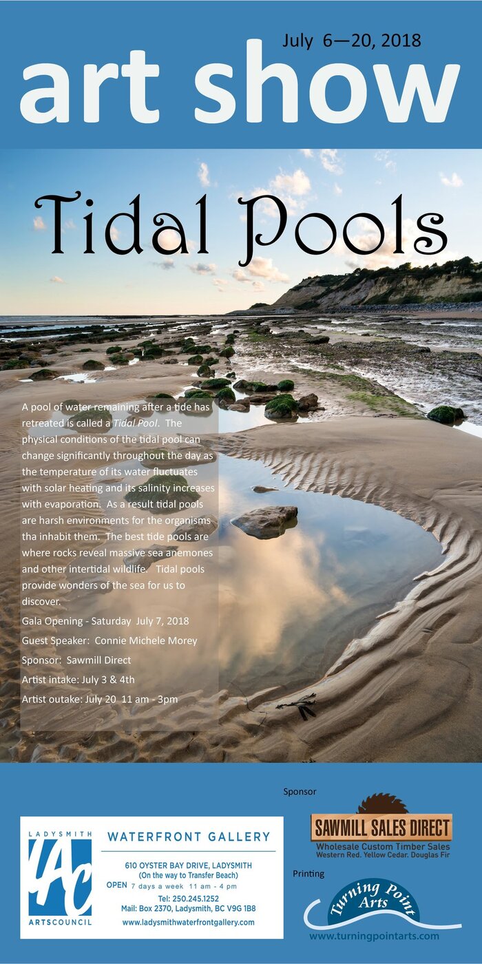 Art Show: Tidal Pools @ Ladysmith Waterfront Gallery Jul 6 2018 - Jun 3rd @ Ladysmith Waterfront Gallery