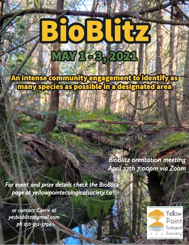 BioBlitz 2021 @ Ladysmith, Yellow Point May 2 2021 - Jun 4th @ Ladysmith, Yellow Point