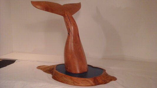 Whale Fluke by 
Todd McAneeley