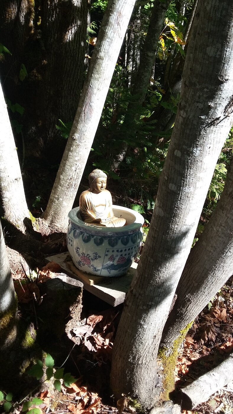 A Day Retreat: Nichiren , Tien Tai, Shakyamuni, Henry @ Nichiren Peace Centre  Oct 20 2018 - Jun 6th @ Nichiren Peace Centre 
