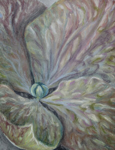 Autumn Colours by 
Loretta Puckrin