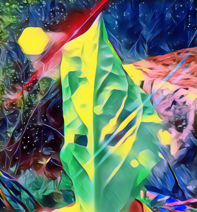 Profile Image: Sharka Beats