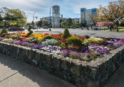 Royal BC Museum Modernization @ Vancouver Island University - Cowichan Campus Jun 13 2019 - Jun 4th @ Vancouver Island University - Cowichan Campus
