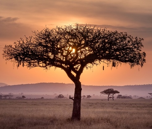 Tanzania Fundraiser Show: Kesseke Yeo (African singer, drummer, dancer), Dr. Ronald Sat  (world-renowned pianist), Ken Lin (world-renowned violinist) @ Richmond Baptist Church Jun 29 2019 - May 8th @ Richmond Baptist Church