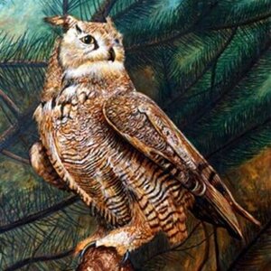 Owl by 
Ed Peekeekoot