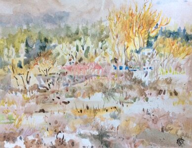 Marshlands by 
Catherine Fraser