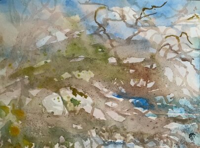 Westcoast Vista by 
Catherine Fraser