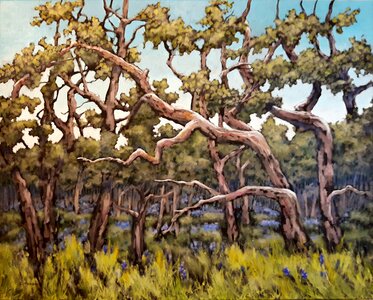 Heart of Oak by 
Catherine Taron