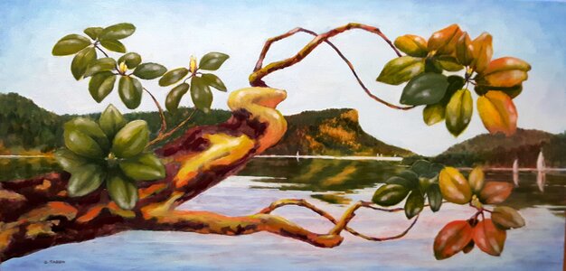 Maple Bay Arbutus by 
Catherine Taron