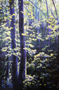 Ode to an Island Forest by 
Catherine Taron