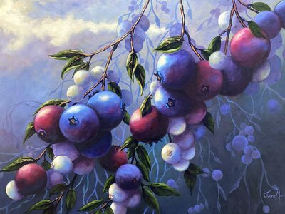 Refresh by 
Joane Moran - AFCA