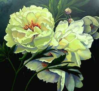 New Beginnings by 
Joane Moran - AFCA