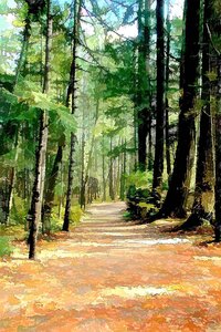 Autumn Path by 
Neil A Fatin