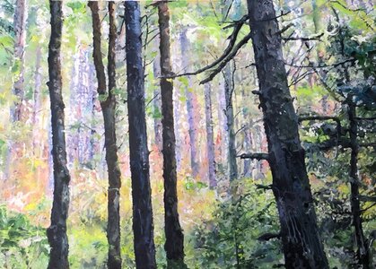 Forest Glow by 
Jocelyn West
