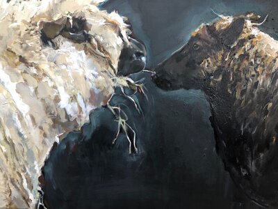 Cobble Hill Sheep by 
Jocelyn West