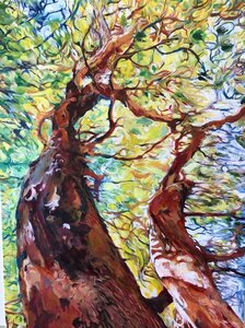Arbutus Mayne Sisters by 
Jocelyn West