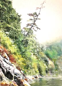 Khutzeymateen Fog by 
Jocelyn West