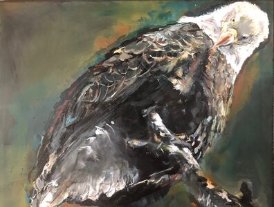 Untitled by 
Jocelyn West