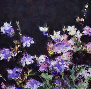 Columbines in Full Bloom by 
Janet Ross Ketchen