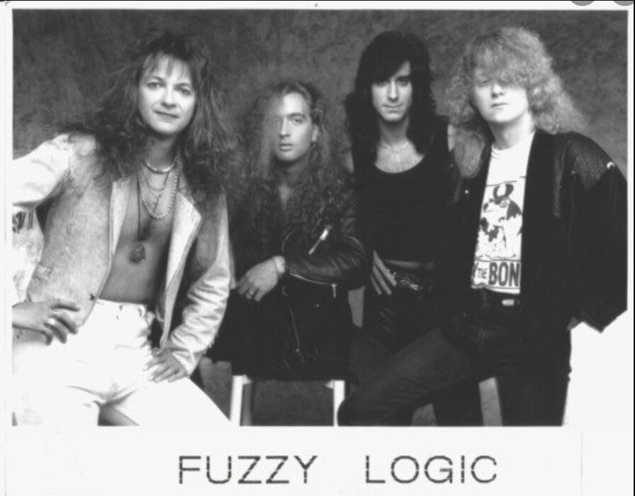 Profile Image: Fuzzy Logic