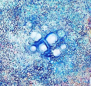 Snowstorm by 
Kristen Carleton