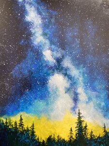 Saanich Starry Night 2 by 
Shannon Holms
