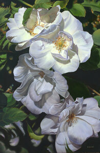 Tranquillity by 
Grazyna Wolski
