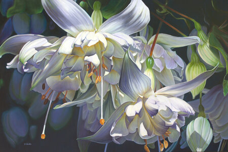 Do You Believe In Angels? by 
Grazyna Wolski