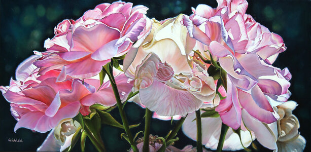 The Light by 
Grazyna Wolski