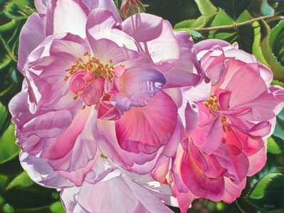 50 Shades of Pink by 
Grazyna Wolski