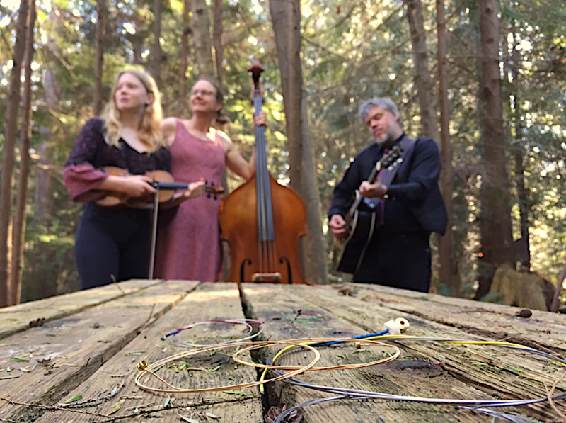 Sunday Night Folk - May 6th @ Victoria Folk Music Society